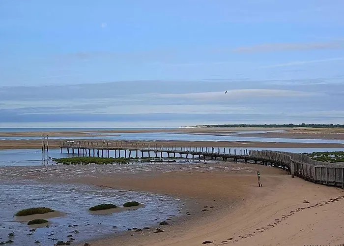 Lumineuse Pour 6, Proche Et Commerces - Fr-1-476-26